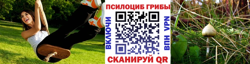 Галлюциногенные грибы Cubensis  Сортавала 